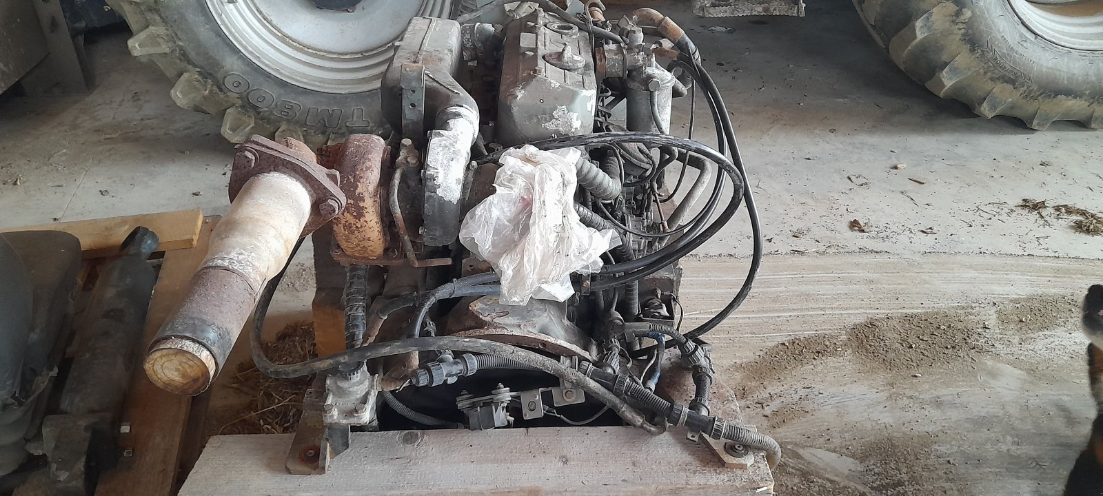 Dieselmotor du type Mercedes OM 364 A, gebraucht en Putzleinsdorf (Photo 3)