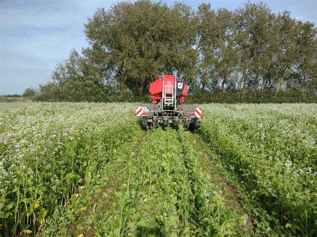 Direktsaatmaschine от тип Novag Vi kan skaffe demo maskiner i forskellige størrelser, Gebrauchtmaschine в Sabro (Снимка 7)