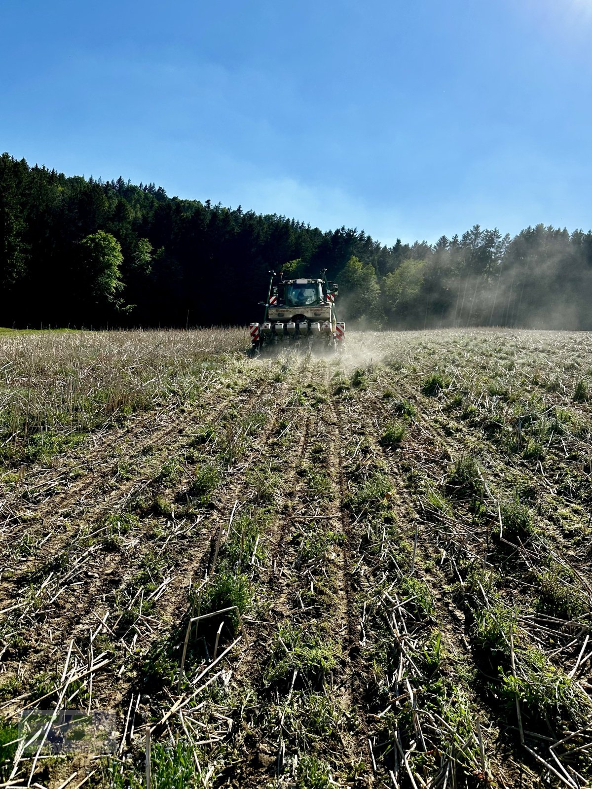 Direktsaatmaschine typu Sfoggia Direktsaatmaschine Einzelkornsämaschine, Gebrauchtmaschine v Ebersberg (Obrázek 11)