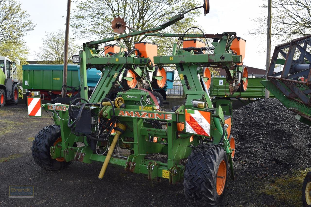 Drillmaschine van het type Amazone ED 602 K, Gebrauchtmaschine in Oyten (Foto 3)