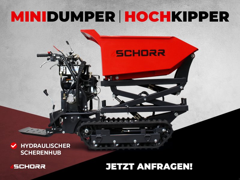 Dumper Türe ait Schorr Minidumper RR500DHKAH PRO [Hochkipper] 500kg PRO Raupendumper Mulde Benzindumper Dumper, Neumaschine içinde Schüttorf (resim 1)