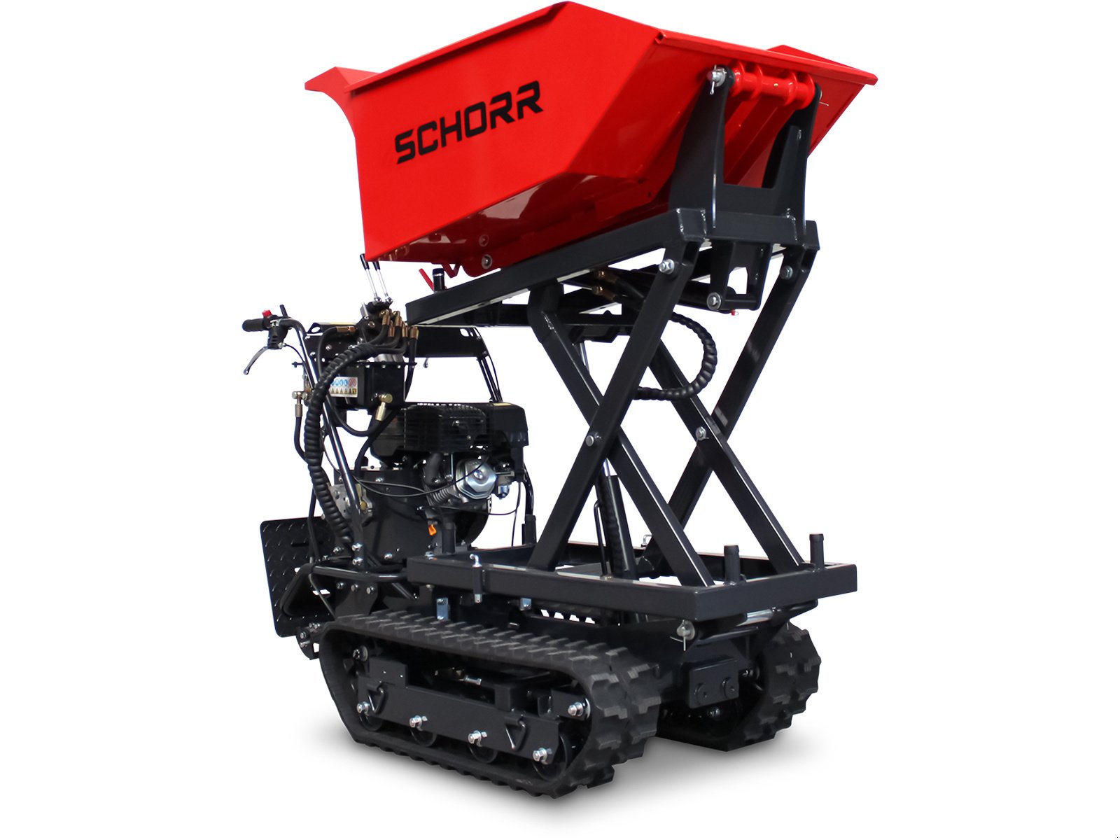 Dumper del tipo Schorr Minidumper RR500DHKAH PRO [Hochkipper] 500kg PRO Raupendumper Mulde Benzindumper Dumper, Neumaschine en Schüttorf (Imagen 8)