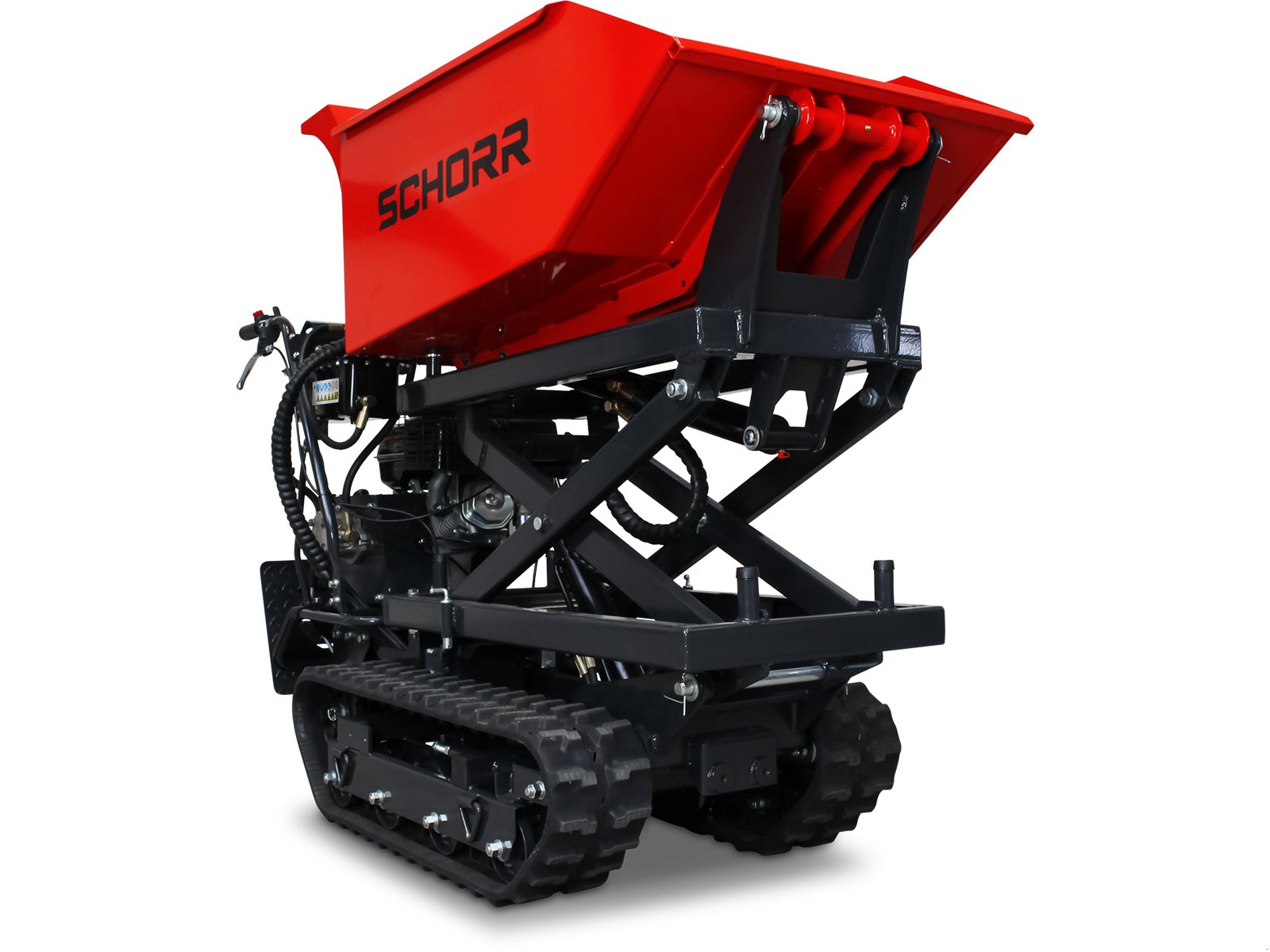 Dumper del tipo Schorr Minidumper RR500DHKAH PRO [Hochkipper] 500kg PRO Raupendumper Mulde Benzindumper Dumper, Neumaschine In Schüttorf (Immagine 22)