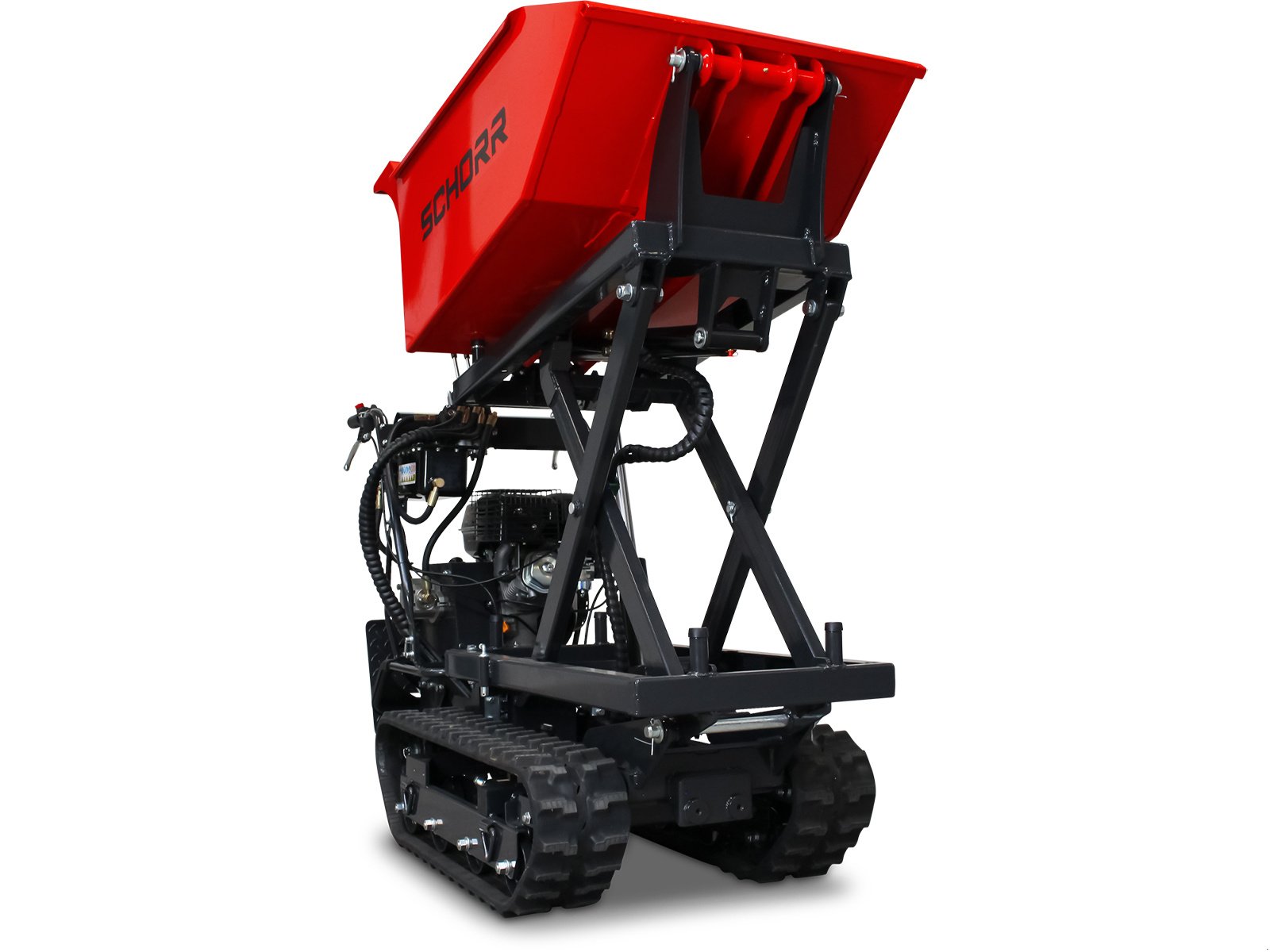 Dumper Türe ait Schorr Minidumper RR500DHKAH PRO [Hochkipper] 500kg PRO Raupendumper Mulde Benzindumper Dumper, Neumaschine içinde Schüttorf (resim 23)