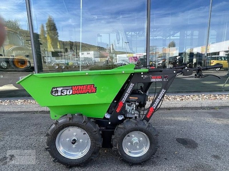 Dumper za tip Sonstige Mini Dumper T30 Motorschubkarre NEU 2024, Gebrauchtmaschine u Gevelsberg (Slika 3)