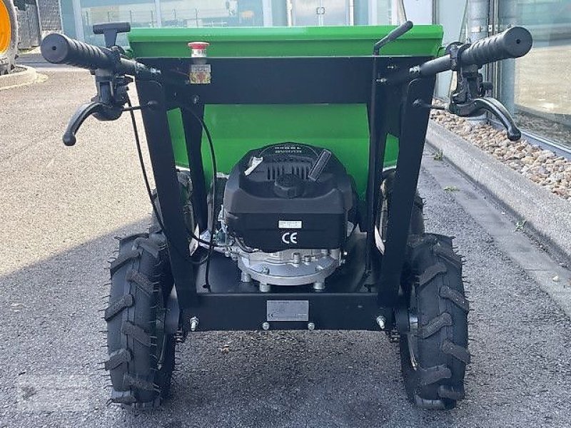 Dumper a típus Sonstige Mini Dumper T30 Motorschubkarre NEU 2025, Neumaschine ekkor: Gevelsberg (Kép 4)