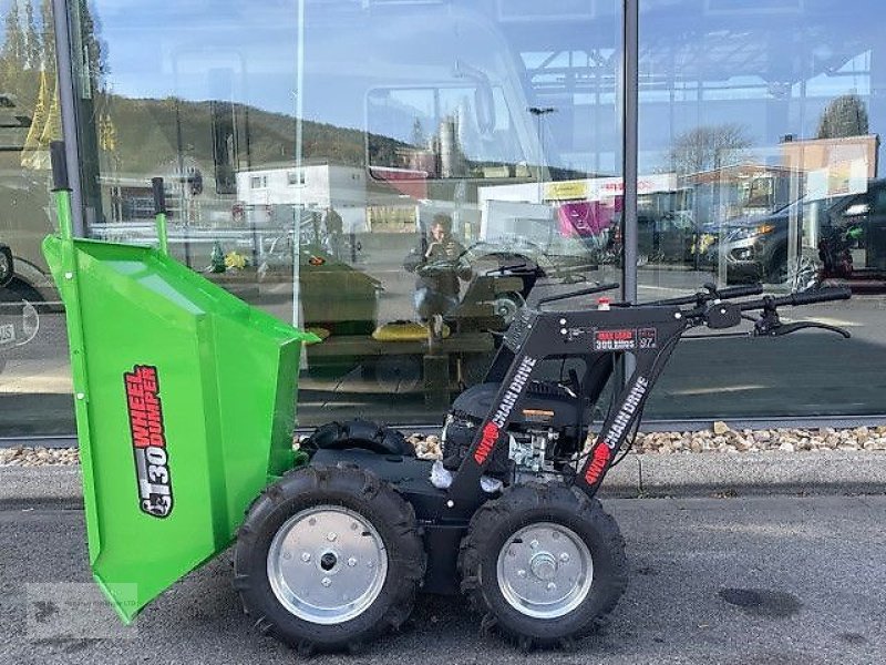 Dumper des Typs Sonstige Mini Dumper T30 Motorschubkarre NEU 2025, Neumaschine in Gevelsberg (Bild 5)