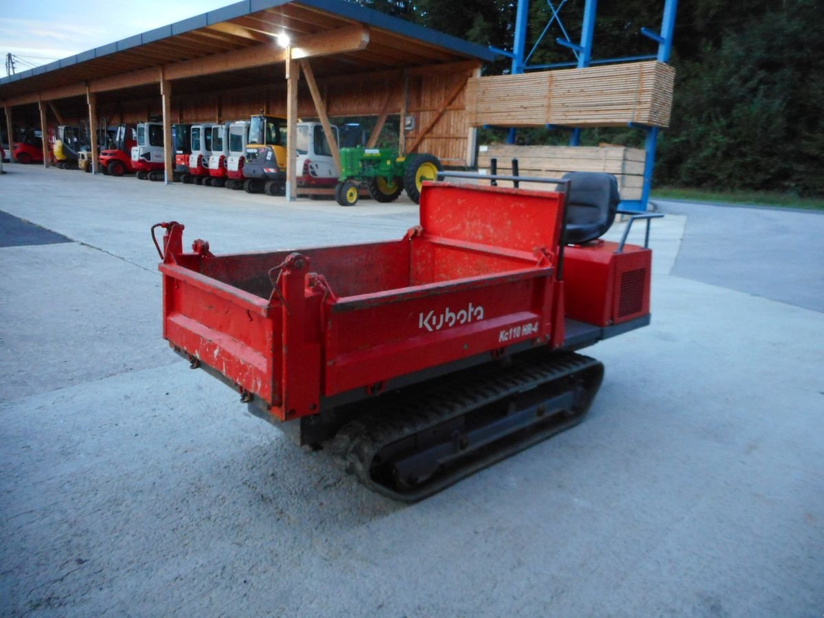 Dumper del tipo Sonstige WB12H Kettendumper mit nur 875kg EG und 1.200kg, Gebrauchtmaschine en St. Nikolai ob Draßling (Imagen 4)