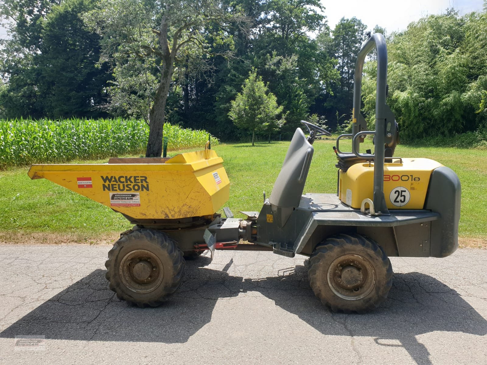 Dumper van het type Wacker Neuson 3001, Gebrauchtmaschine in Deutsch - Goritz (Foto 1)