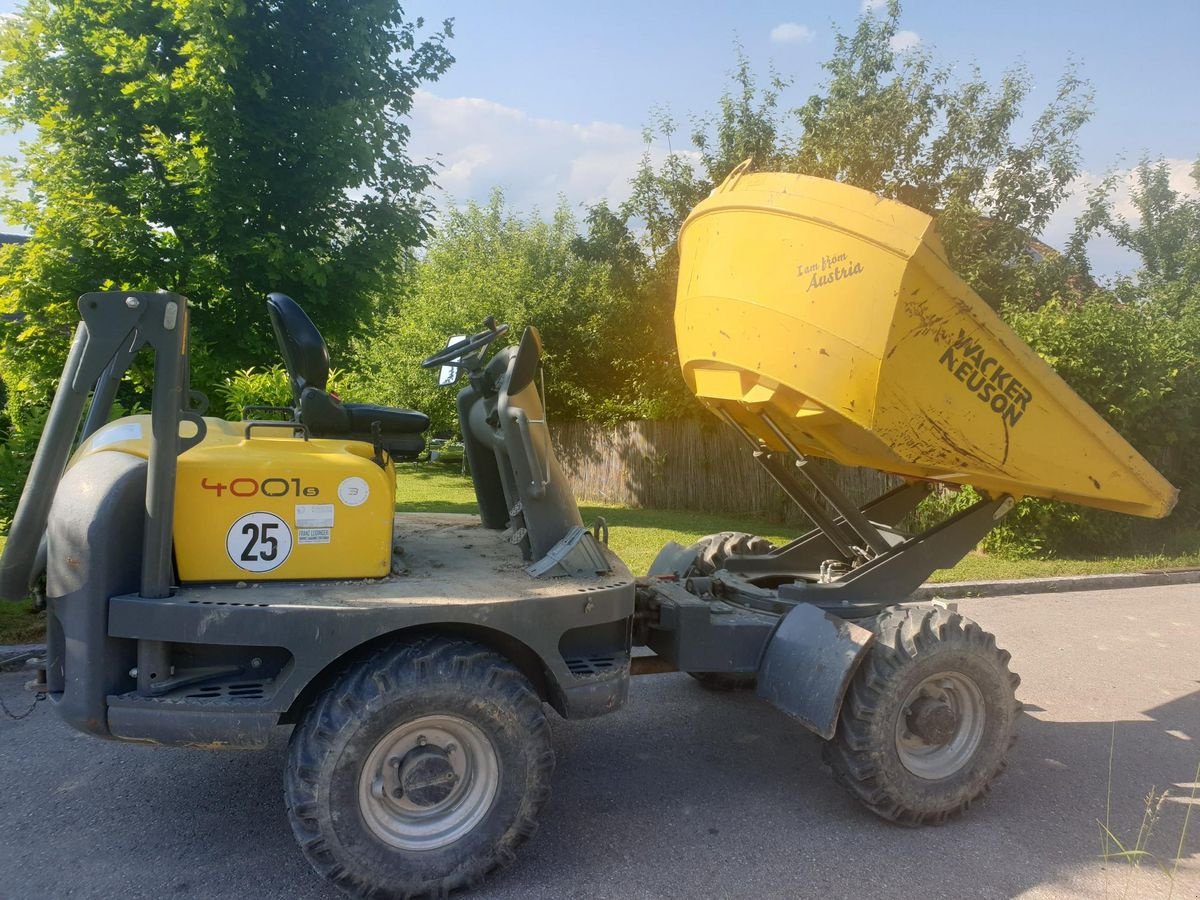 Dumper Türe ait Wacker Neuson Neuson 4001s, Gebrauchtmaschine içinde Gallspach (resim 1)