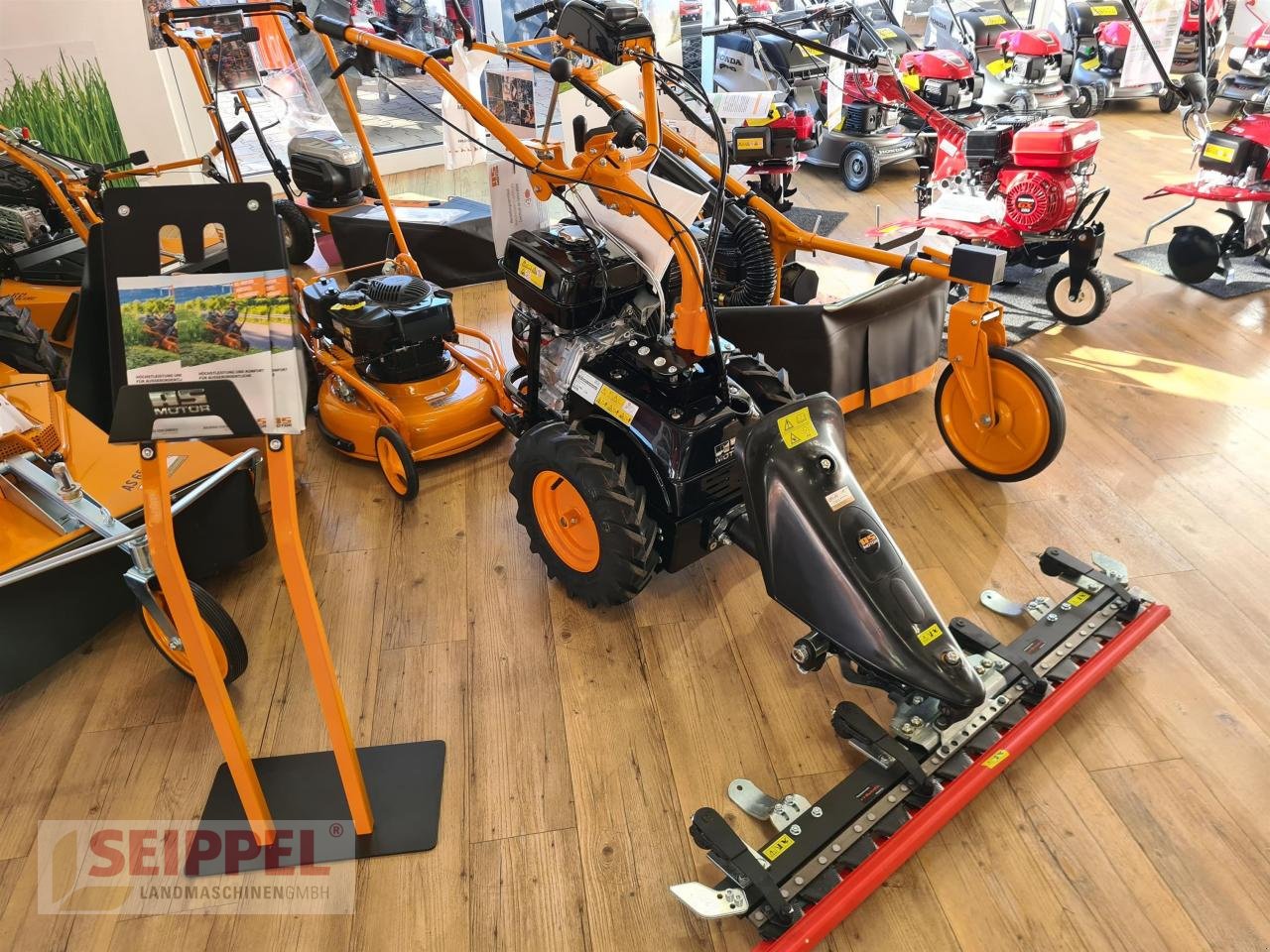 Einachstraktor Türe ait AS-Motor AS 600 MULTIPRO 117 LOSI, Neumaschine içinde Groß-Umstadt (resim 2)