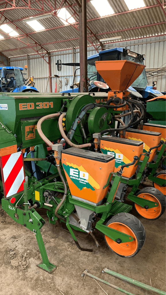 Einzelkornsägerät del tipo Amazone ED 301, Gebrauchtmaschine en TREMEUR (Imagen 1)