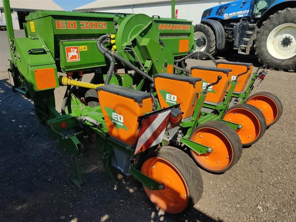 Einzelkornsägerät des Typs Amazone ED 302, Gebrauchtmaschine in Holstebro (Bild 2)