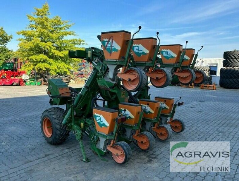 Einzelkornsägerät du type Amazone ED 601 K 8 REIHIG, Gebrauchtmaschine en Calbe / Saale (Photo 1)