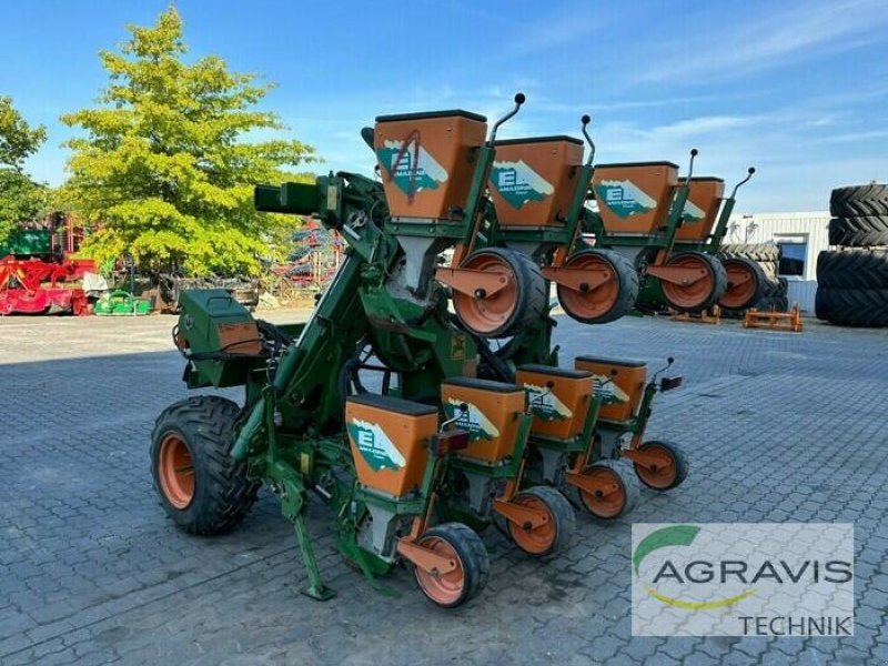 Einzelkornsägerät des Typs Amazone ED 601 K 8 REIHIG, Gebrauchtmaschine in Calbe / Saale (Bild 1)