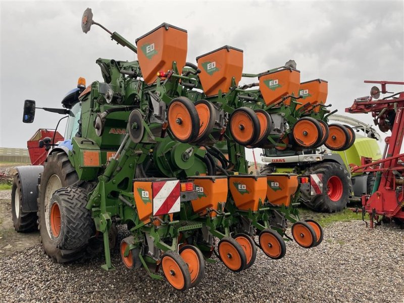 Einzelkornsägerät tip Amazone ED 602-K SKIVESKÆRS MODEL, Gebrauchtmaschine in Ribe (Poză 1)