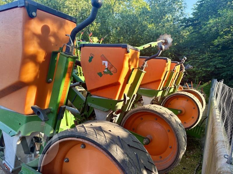 Einzelkornsägerät tip Amazone ED 602-K, Gebrauchtmaschine in Husum (Poză 7)