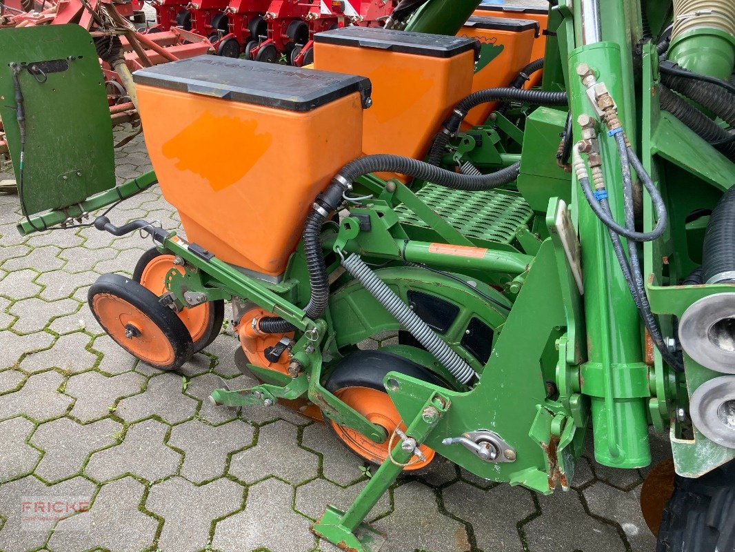 Einzelkornsägerät del tipo Amazone ED 602, Gebrauchtmaschine en Bockel - Gyhum (Imagen 7)