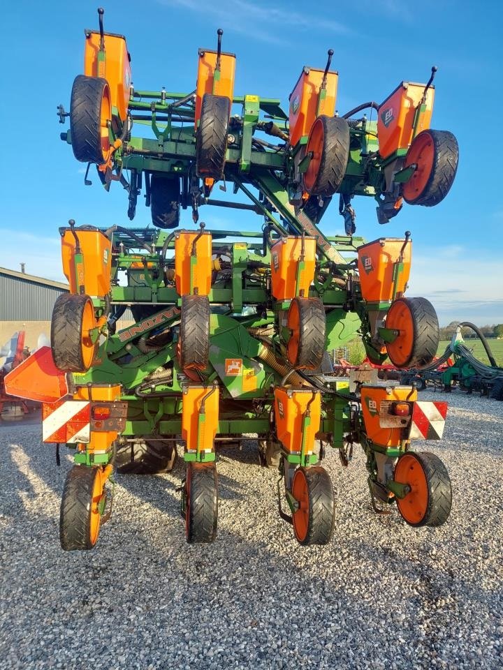 Einzelkornsägerät del tipo Amazone ED 902-K - 12 RÆKKET, Gebrauchtmaschine en Hammel (Imagen 2)