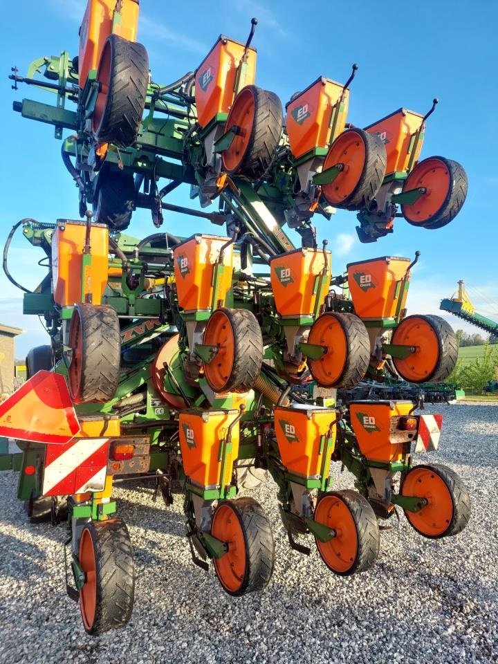 Einzelkornsägerät des Typs Amazone ED 902-K - 12 RÆKKET, Gebrauchtmaschine in Hammel (Bild 4)