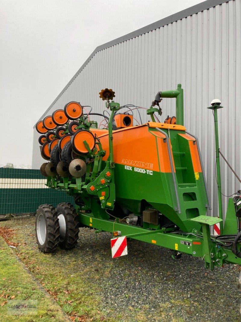 Einzelkornsägerät des Typs Amazone EDX 6000-TC, Gebrauchtmaschine in Aurich (Bild 2)