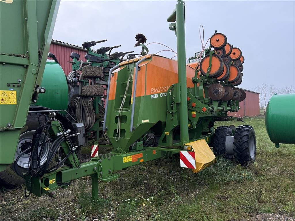 Einzelkornsägerät van het type Amazone EDX 6000-TC, Gebrauchtmaschine in Munke Bjergby (Foto 1)