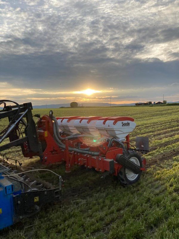 Einzelkornsägerät tip Bärtschi Seedy 4x2er Twin Row, Neumaschine in Hüswil (Poză 3)