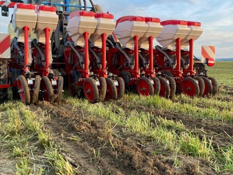 Einzelkornsägerät Türe ait Bärtschi Seedy 4x2er Twin Row, Neumaschine içinde Langnau b. Reiden (resim 1)