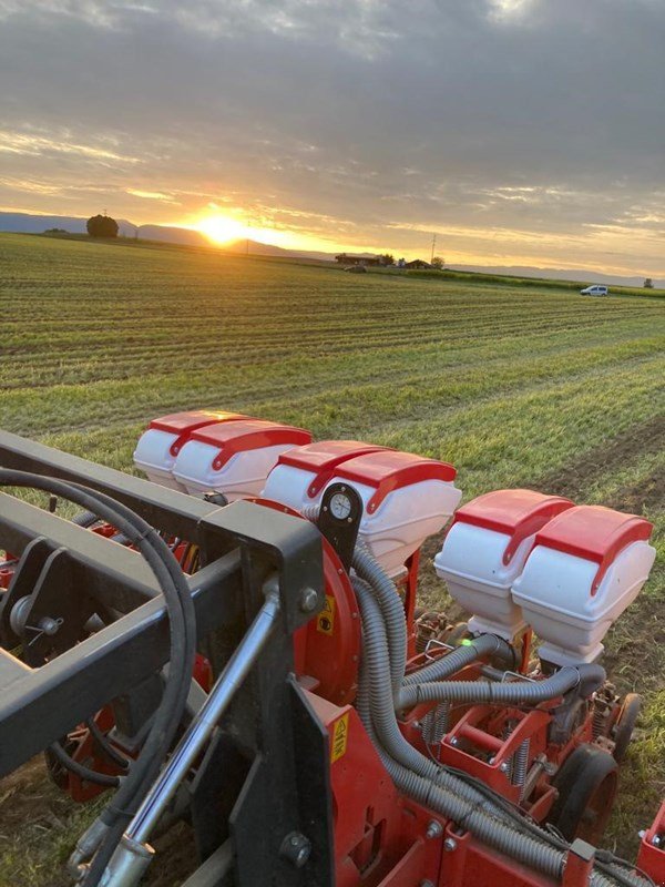 Einzelkornsägerät typu Fobro Seedy 4x2er Twin Row, Neumaschine v Hüswil (Obrázek 9)