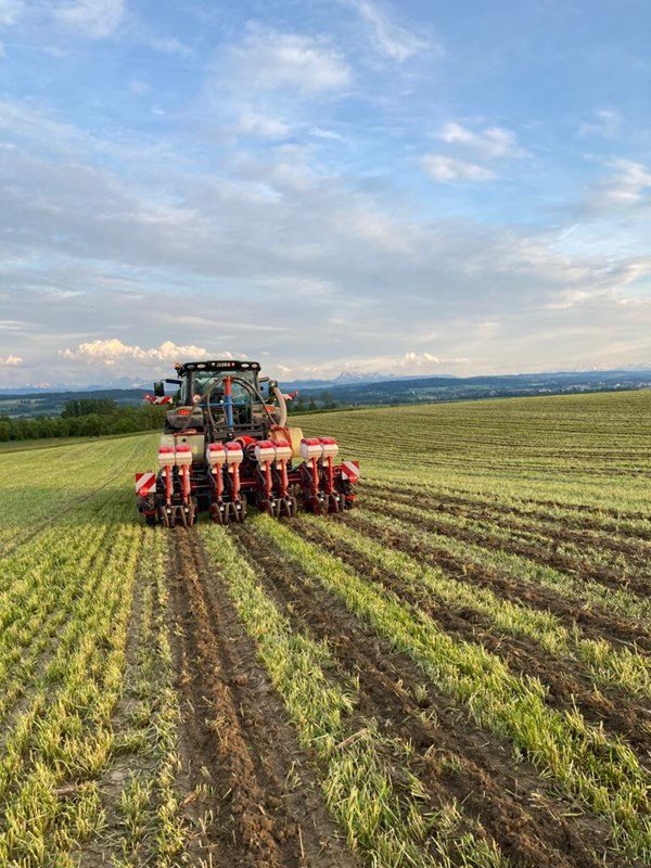 Einzelkornsägerät typu Fobro Seedy 4x2er Twin Row, Neumaschine v Hüswil (Obrázok 5)