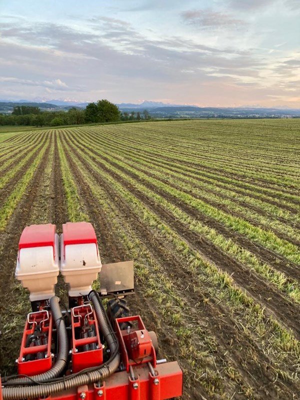 Einzelkornsägerät от тип Fobro Seedy 4x2er Twin Row, Neumaschine в Langnau b. Reiden (Снимка 2)