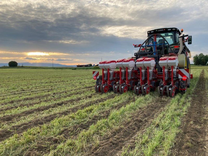 Einzelkornsägerät typu Fobro Seedy 4x2er Twin Row, Neumaschine v Langnau b. Reiden (Obrázok 7)