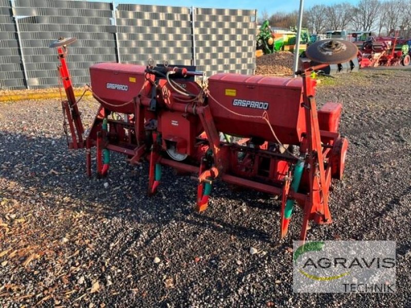 Einzelkornsägerät des Typs Gaspardo MAISLEGEMASCHINE, Gebrauchtmaschine in Meppen (Bild 1)