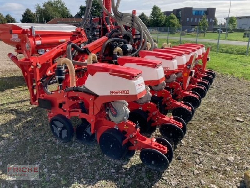 Einzelkornsägerät van het type Maschio Chrono 508 8-reihig, Neumaschine in Bockel - Gyhum (Foto 1)