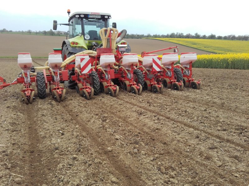 Einzelkornsägerät tip Maschio Manta 8, Gebrauchtmaschine in Aspach (Poză 1)