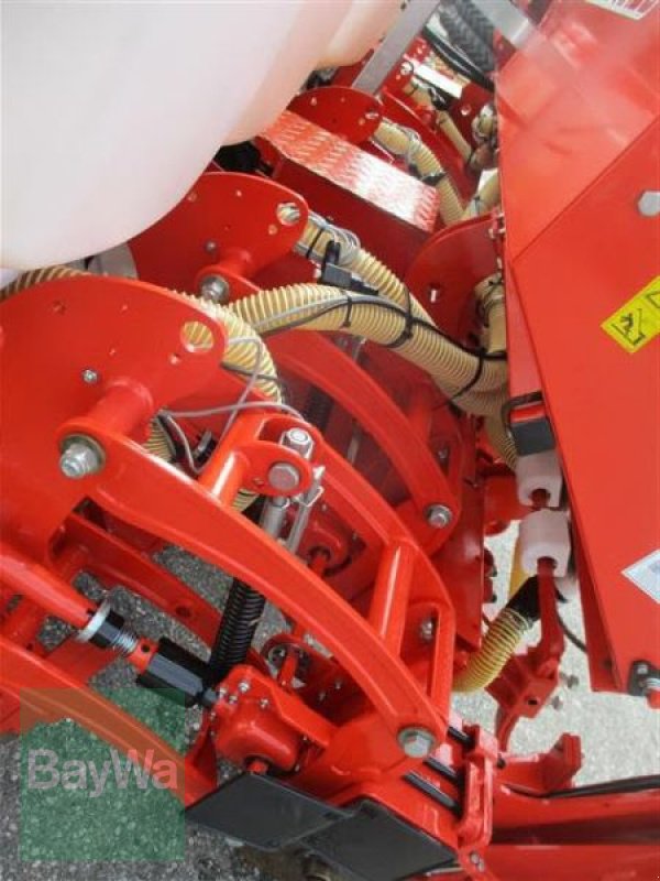 Einzelkornsägerät des Typs Maschio MTE 300 R  #950, Gebrauchtmaschine in Schönau b.Tuntenhausen (Bild 10)