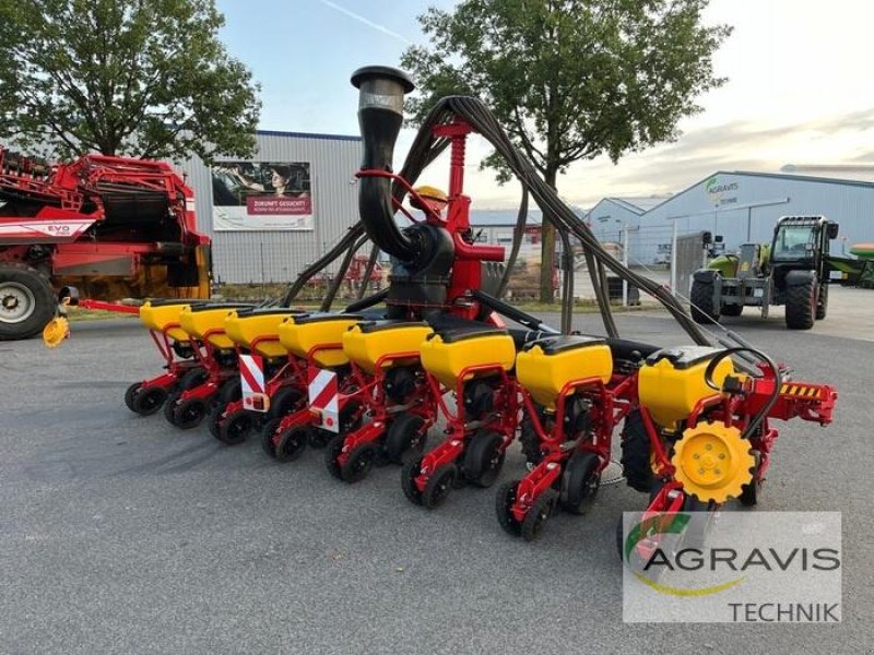 Einzelkornsägerät des Typs Väderstad TEMPO TPV 8, Gebrauchtmaschine in Meppen (Bild 3)