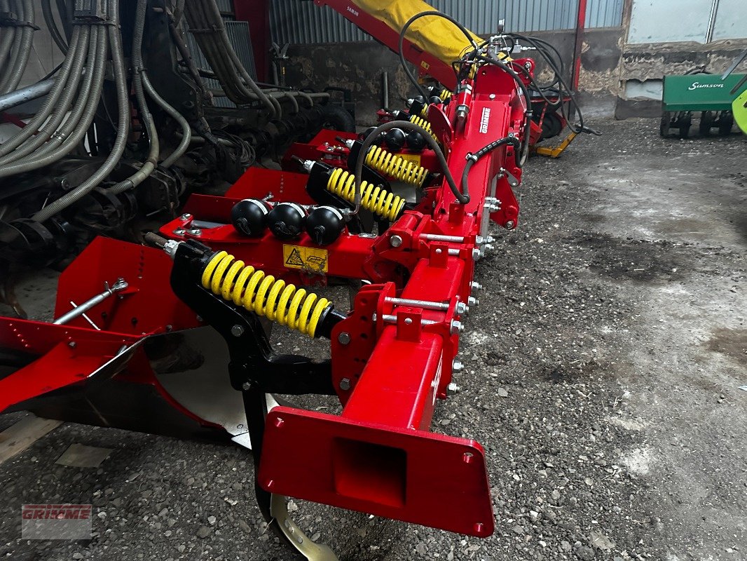 Entsteiner & Beetseparierer of the type Grimme BFL-400-H, Neumaschine in Rødkærsbro (Picture 2)