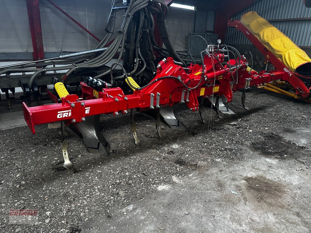 Entsteiner & Beetseparierer of the type Grimme BFL-400-H, Neumaschine in Rødkærsbro (Picture 1)