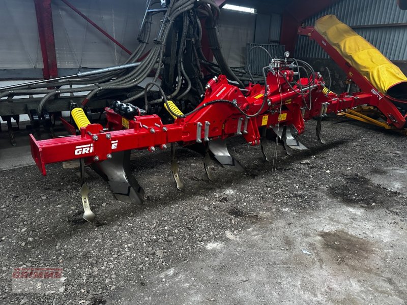 Entsteiner & Beetseparierer of the type Grimme BFL-400-H, Neumaschine in Rødkærsbro (Picture 1)