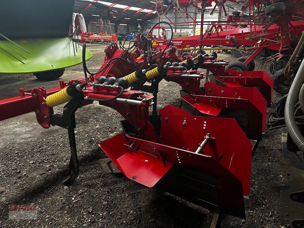 Entsteiner & Beetseparierer of the type Grimme BFL-400-H, Neumaschine in Rødkærsbro (Picture 3)