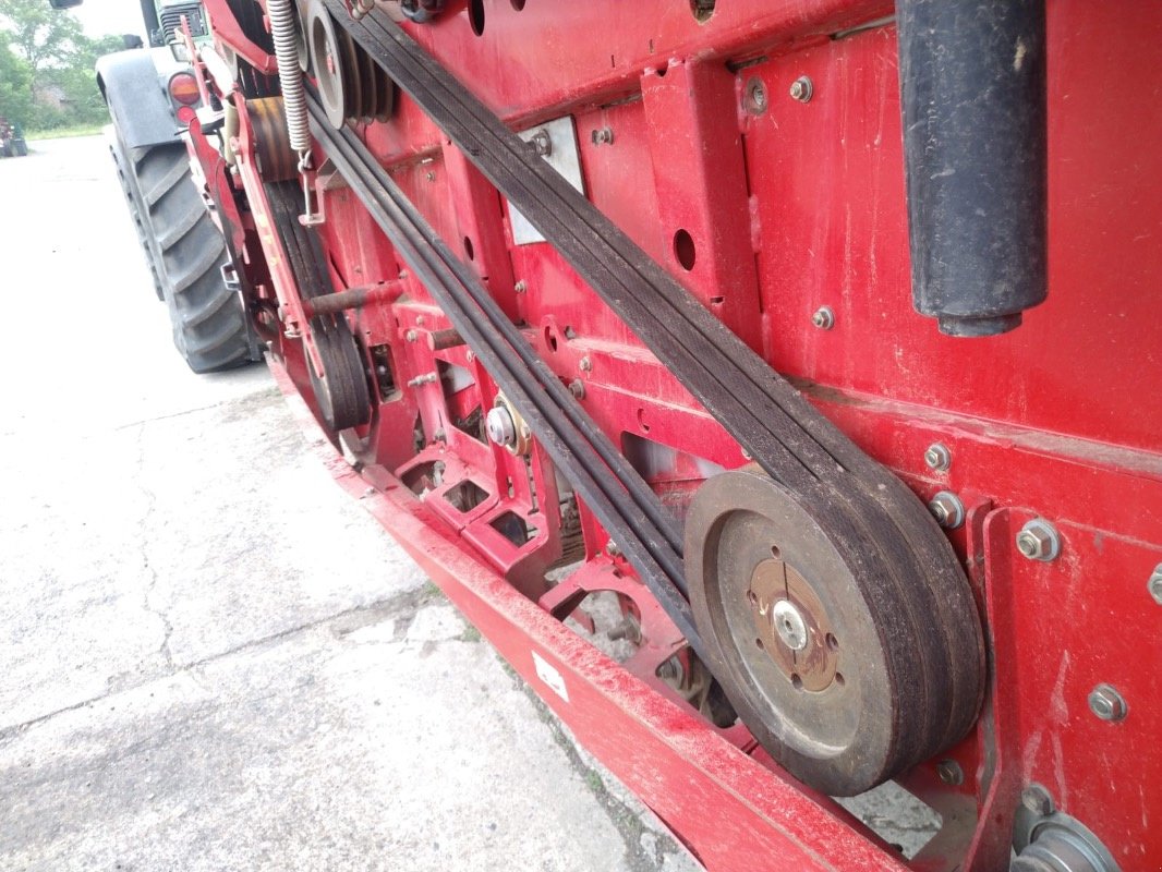 Entsteiner & Beetseparierer of the type Grimme CS 150 Multi Web, Gebrauchtmaschine in Liebenwalde (Picture 13)