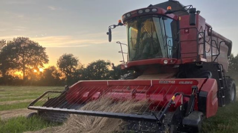 Feldhäcksler Pick-up des Typs Case IH 3016 12 og 15 fod., Gebrauchtmaschine in Glamsbjerg (Bild 1)