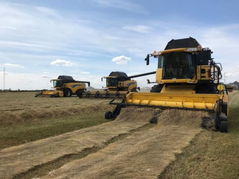 Feldhäcksler Pick-up del tipo New Holland 790C 12 FOD, Gebrauchtmaschine en Middelfart (Imagen 4)