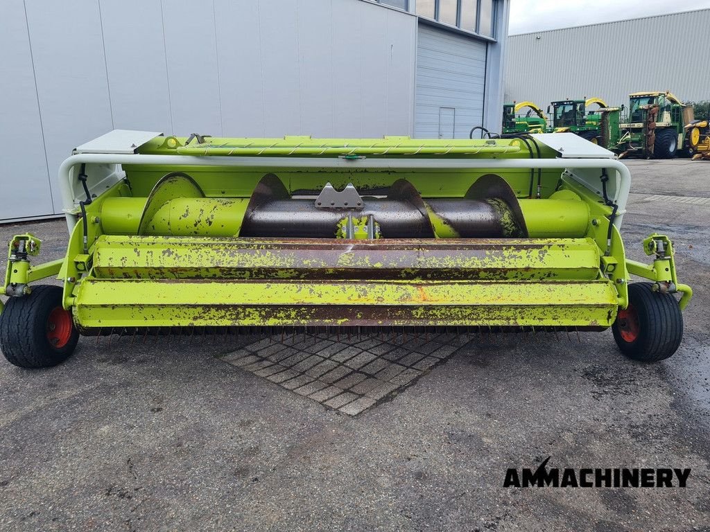 Feldhäcksler Pick-up del tipo Sonstige Claas PU300HD, Gebrauchtmaschine In Horst (Immagine 11)