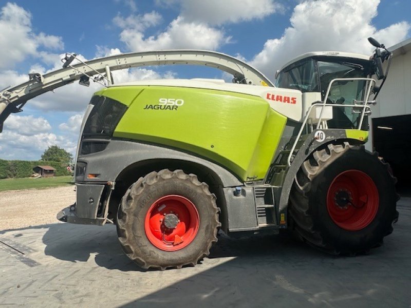 Feldhäcksler des Typs CLAAS 950 Premium Line, Gebrauchtmaschine in Schutterzell (Bild 16)