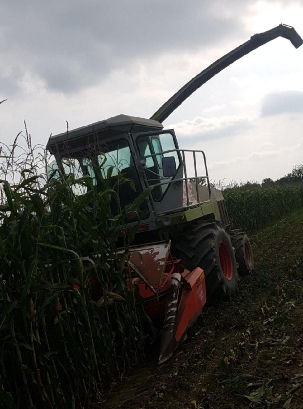 Feldhäcksler van het type CLAAS Jaguar 690, Gebrauchtmaschine in Waizenkirchen (Foto 2)