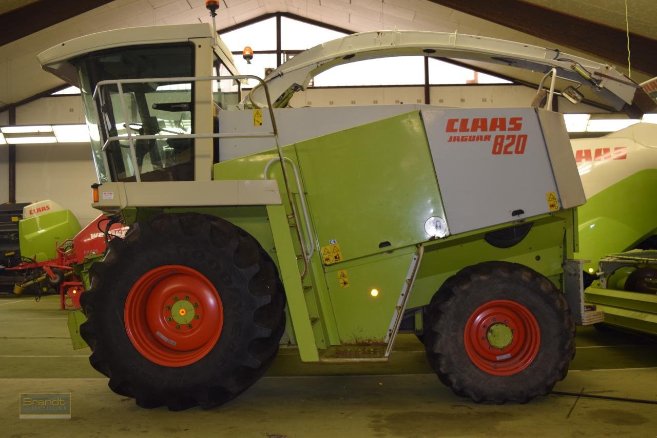 Feldhäcksler des Typs CLAAS Jaguar 820, Gebrauchtmaschine in Oyten (Bild 3)