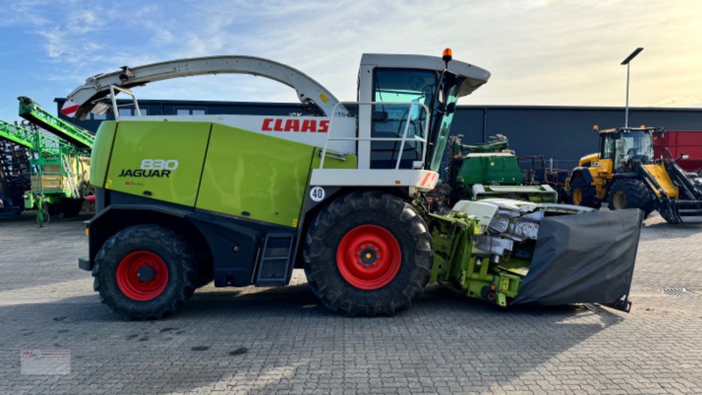 Feldhäcksler typu CLAAS Jaguar 830 Speedster + Allrad, Gebrauchtmaschine w Neubrandenburg (Zdjęcie 4)