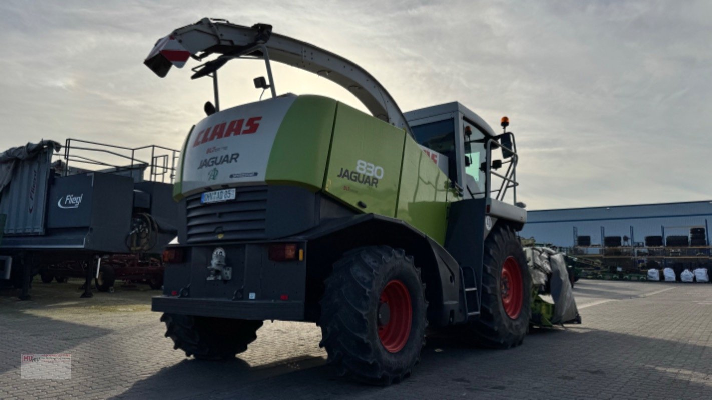 Feldhäcksler des Typs CLAAS Jaguar 830 Speedster + Allrad, Gebrauchtmaschine in Neubrandenburg (Bild 7)